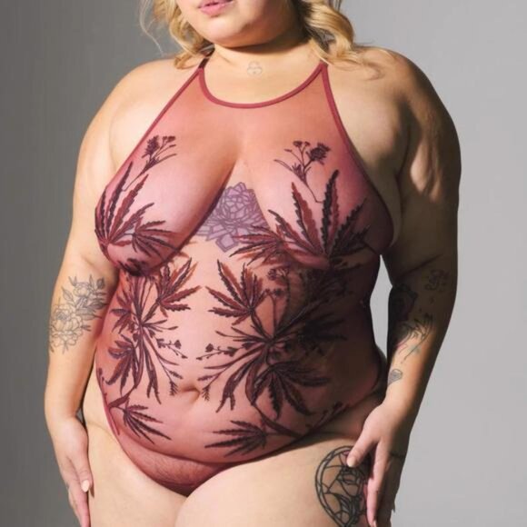 Thistle and Spire Burgundy Sheer NWT Body Suit Chemise - Picture 1 of 10